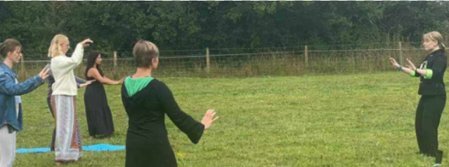 Tai Chi & Qigong Lessons